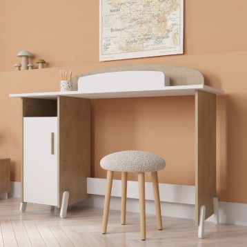 escritorio_naili_ambiente