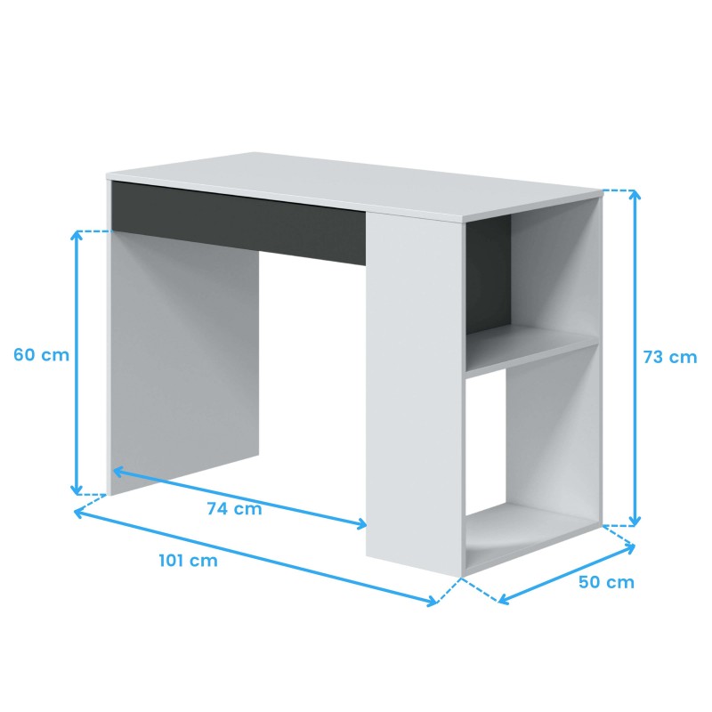 escritorio Masster cotas 8