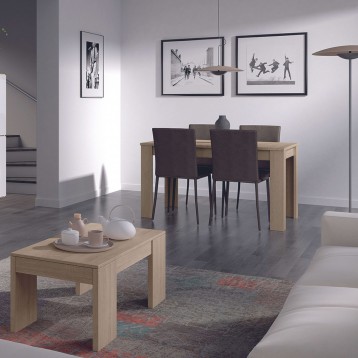 mesa elevable ambiente 5