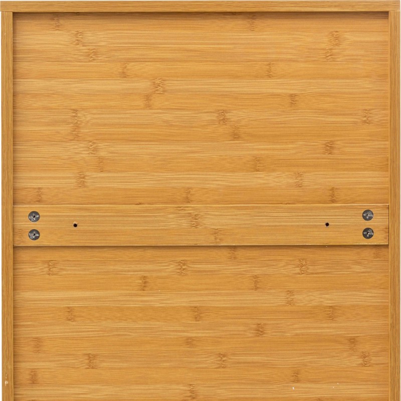 auxiliar Sicela detalle 7