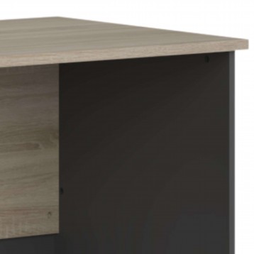 escritorio Nibis detalle 4