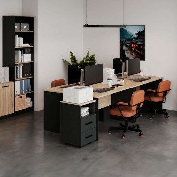 Escritorio Nibis Ambiente 2