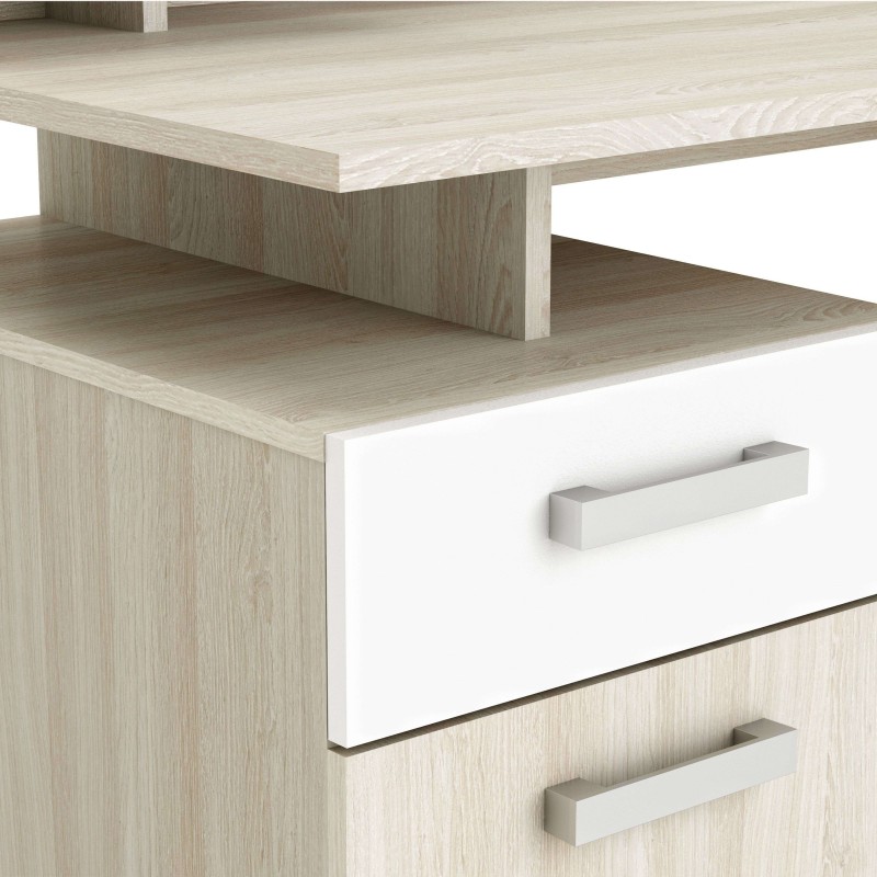 Escritorio Malicia Detalle 2