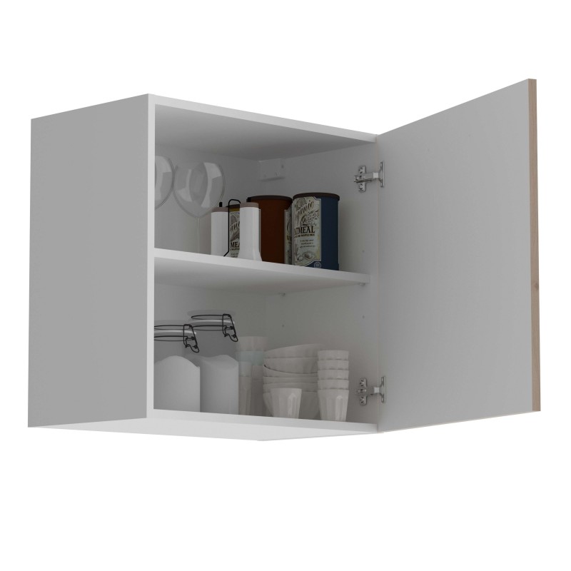 modulo Eko abierto 2