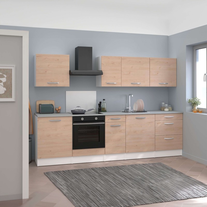 modulo Eko ambiente 8