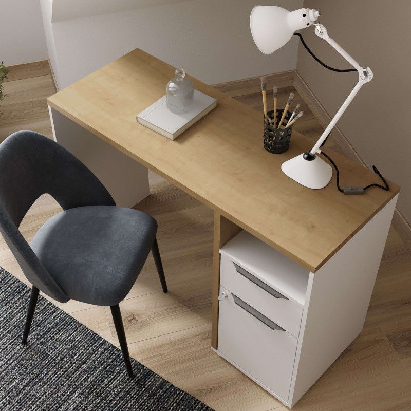 escritorio Acces ambiente 4