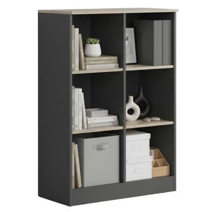 estanteria_frogi_portada