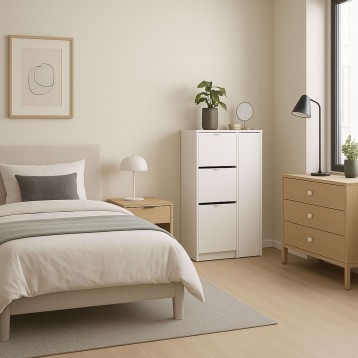 Zapatero Recibidor Ambiente 2