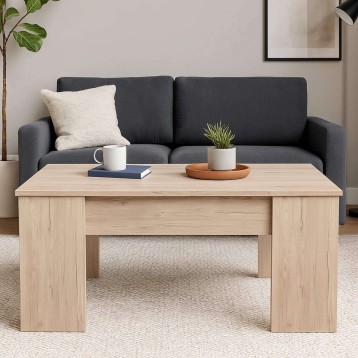 mesa centro ambiente 6