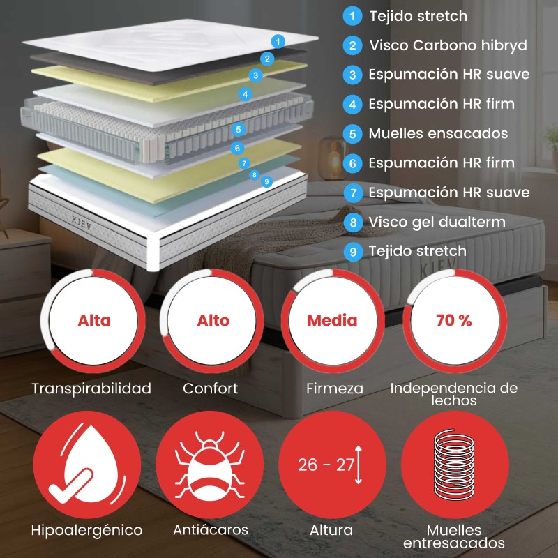 11338_11339_11340_composicion