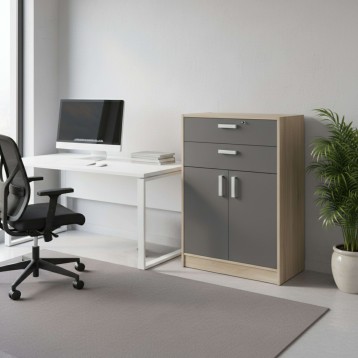 Armario de oficina con puerta y 2 cajones ambiente
