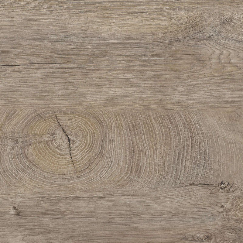 Tablero de madera clara con veta de anillo de crecimiento y textura de grano natural