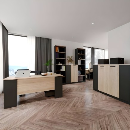 Ambiente de oficina moderna con escritorio ejecutivo en madera clara y estructura negra y estanterías modulares en negro y mader