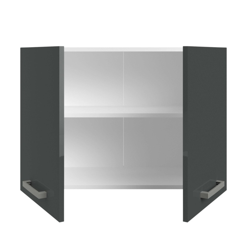 Mueble colgante gris oscuro y estantes internos blancos vista frontal