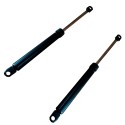 Juego de 2 Amortiguadores Hidráulicos Para Canapé Abatible Conjunto Color Negro